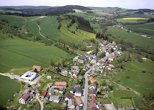 Borovnice v detailu i z výšky