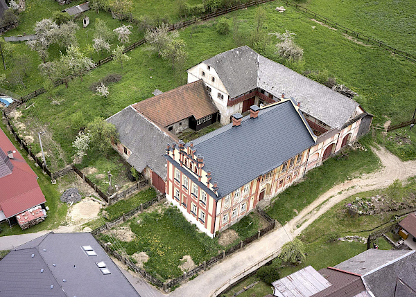 Borovnice v detailu i z výšky