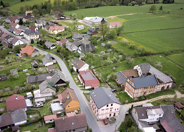 Borovnice v detailu i z výšky