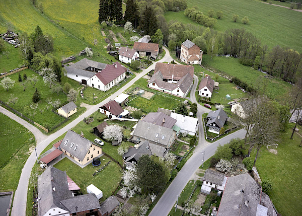 Borovnice v detailu i z výšky