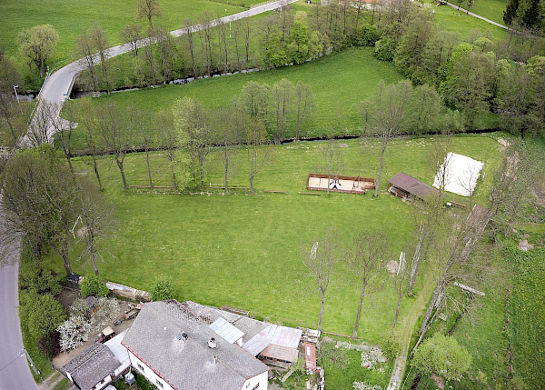 Borovnice v detailu i z výšky