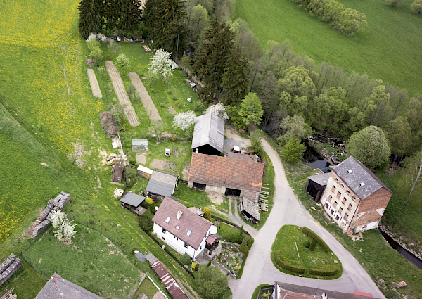 Borovnice v detailu i z výšky