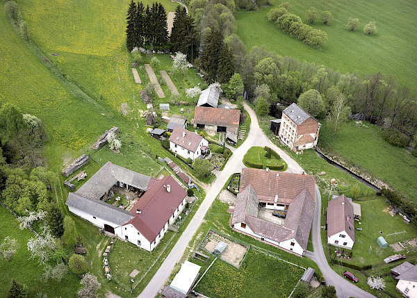 Borovnice v detailu i z výšky