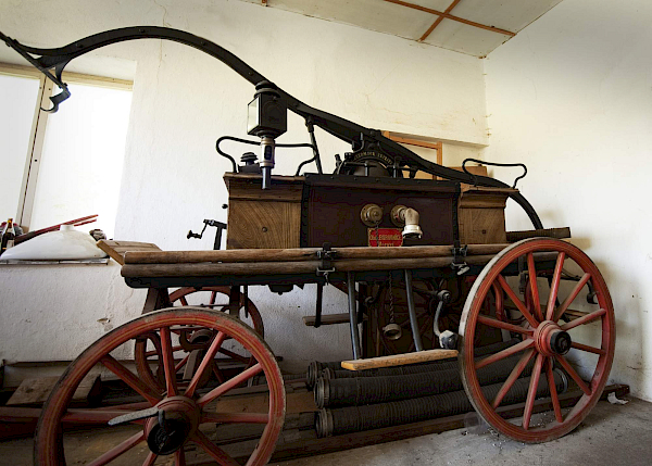 Borovnice v detailu i z výšky