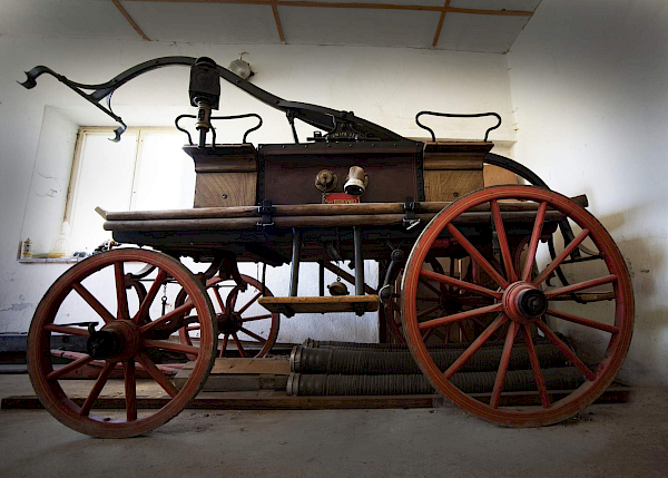 Borovnice v detailu i z výšky