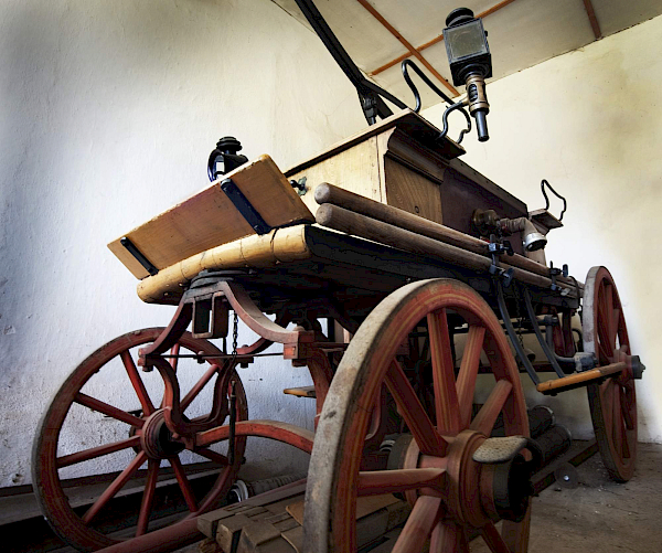 Borovnice v detailu i z výšky