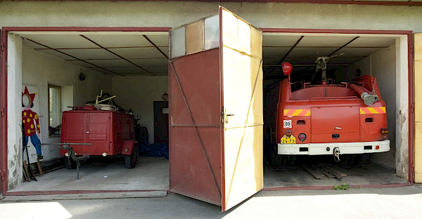 Borovnice v detailu i z výšky