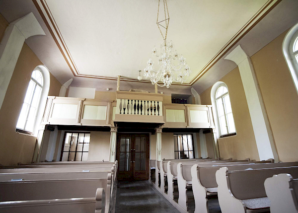 Borovnice v detailu i z výšky