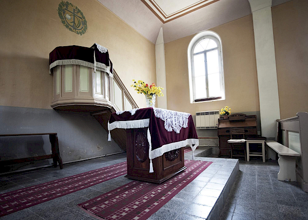 Borovnice v detailu i z výšky