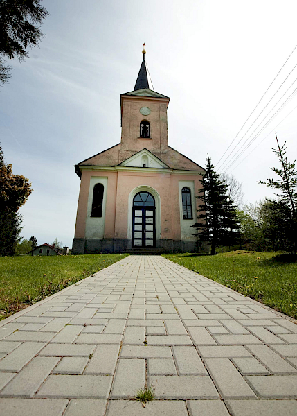 Borovnice v detailu i z výšky