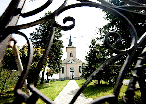 Borovnice v detailu i z výšky