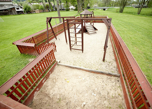 Borovnice v detailu i z výšky