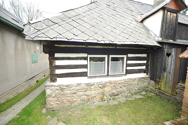 Borovnice v detailu i z výšky