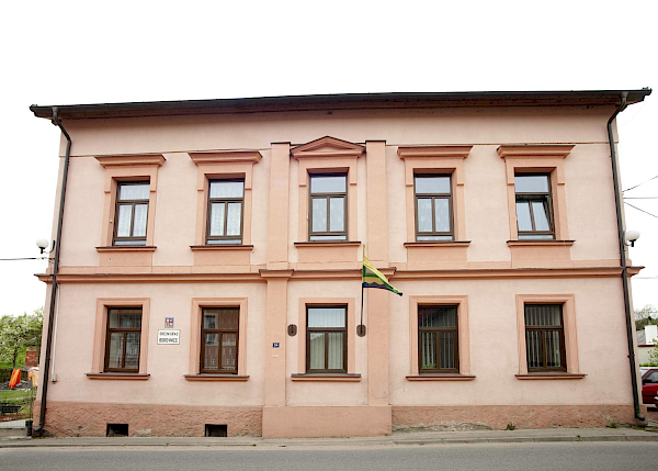 Borovnice v detailu i z výšky