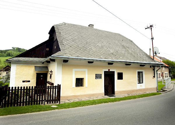 Borovnice v detailu i z výšky