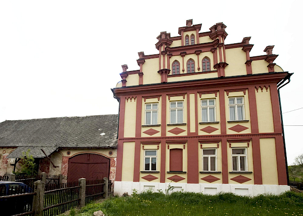 Borovnice v detailu i z výšky