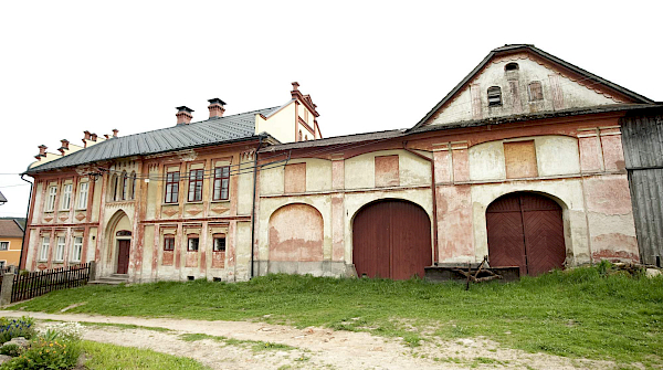 Borovnice v detailu i z výšky