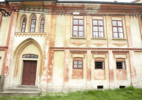 Borovnice v detailu i z výšky